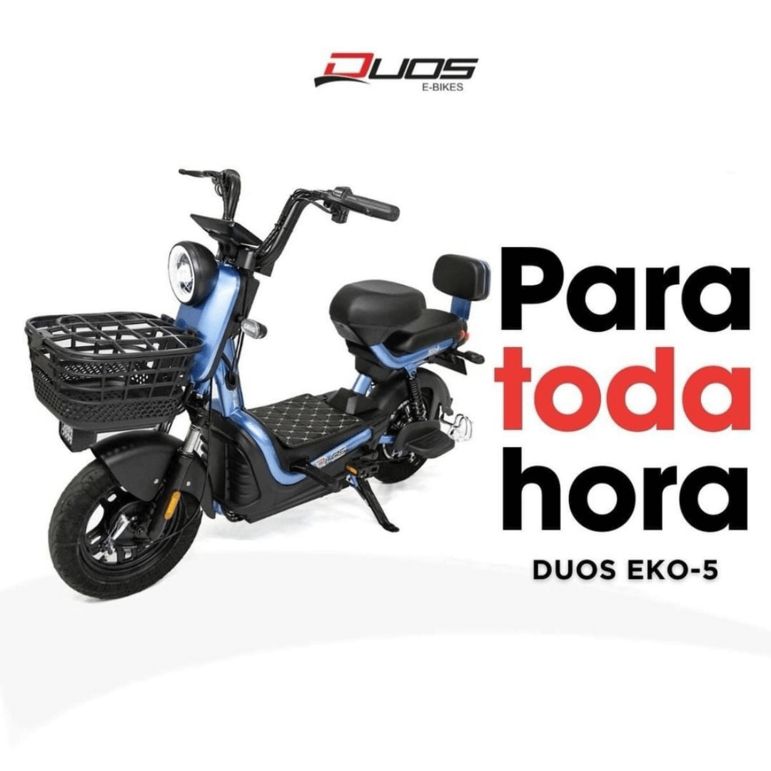 eko5_6_comp